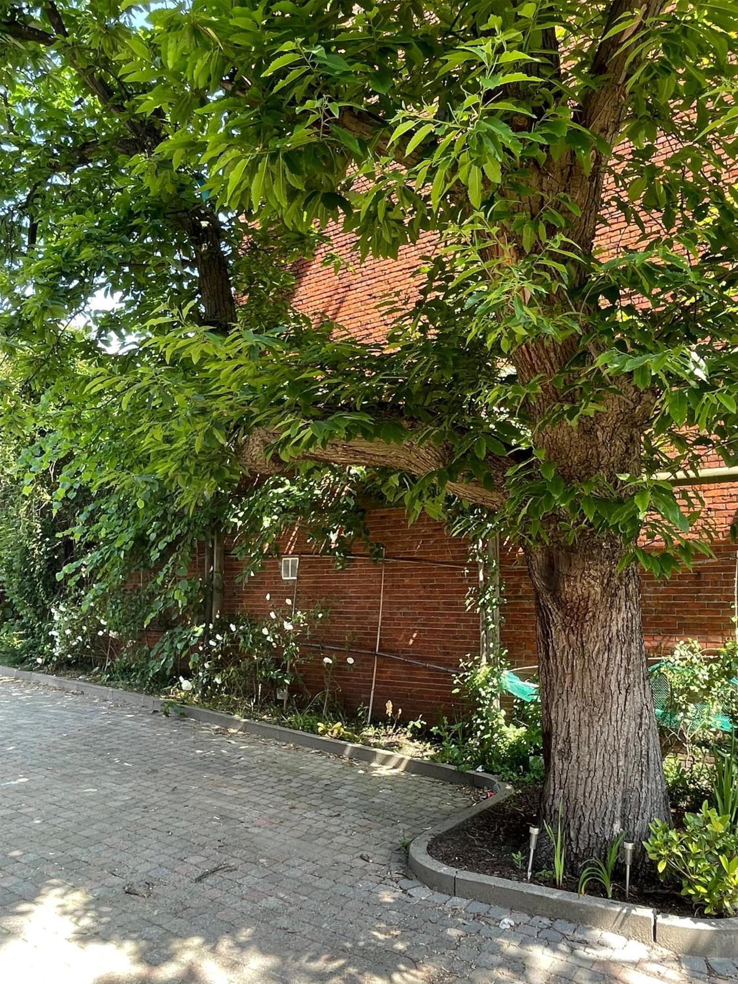 De Wilden Ezel Bed & Breakfast Mol Exterior photo